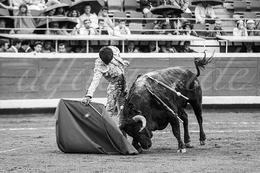 20250818 bilbao by alfaduende 010