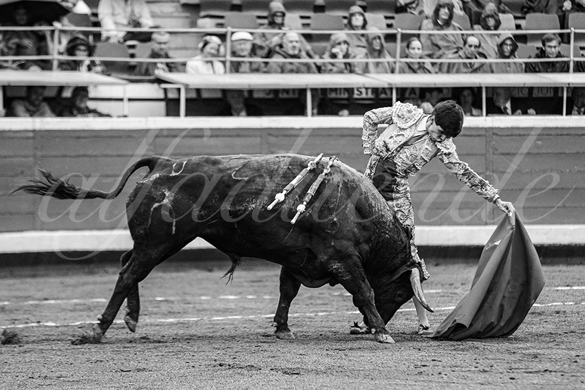 20250818 bilbao by alfaduende 009