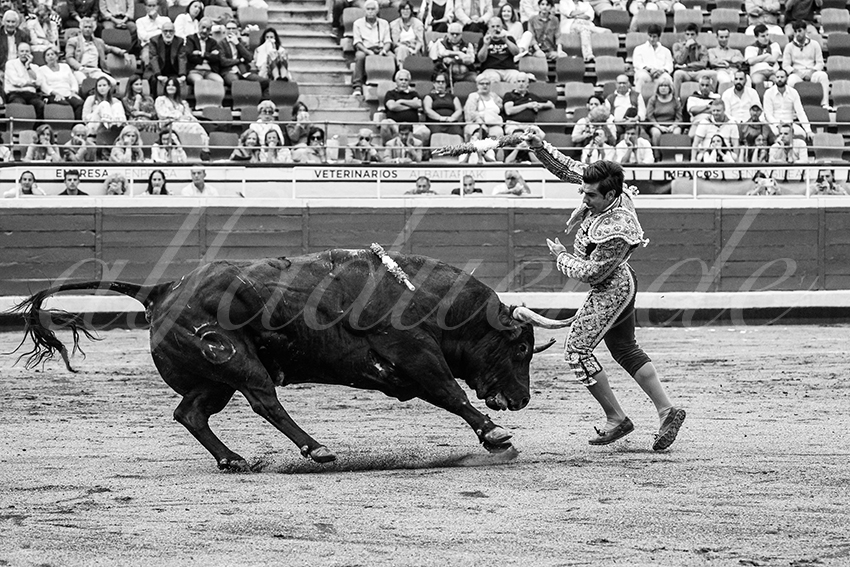 20250819 bilbao by alfaduende 036