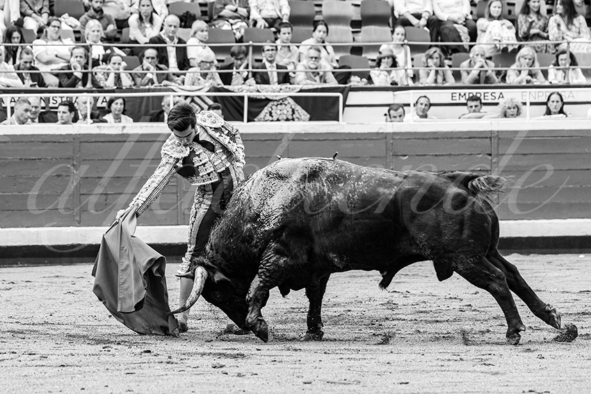 20250819 bilbao by alfaduende 034