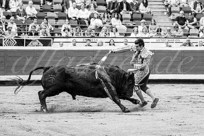 20250819 bilbao by alfaduende 033