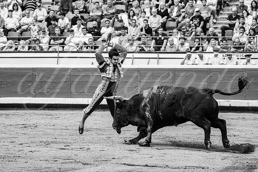 20250819 bilbao by alfaduende 032