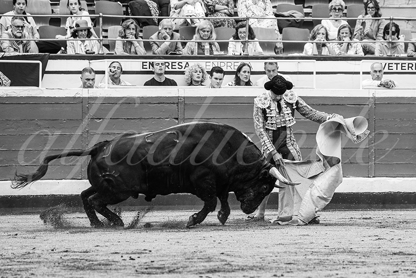 20250819 bilbao by alfaduende 031