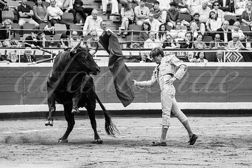 20250819 bilbao by alfaduende 030