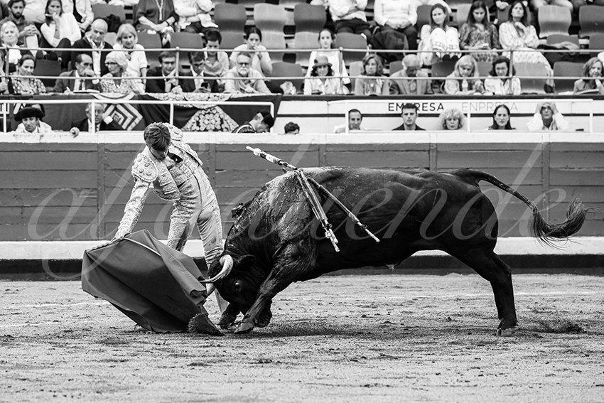 20250819 bilbao by alfaduende 029