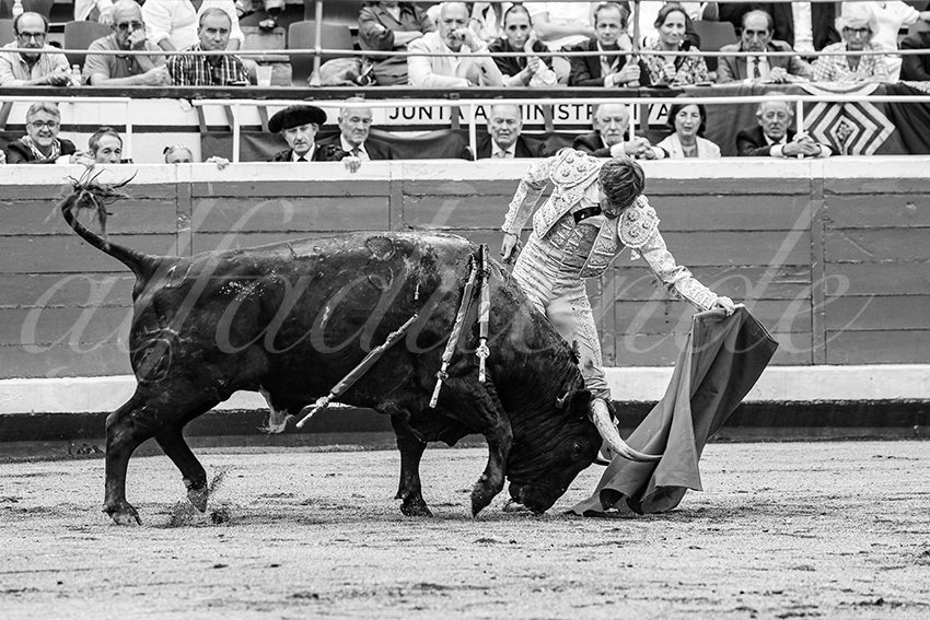 20250819 bilbao by alfaduende 025