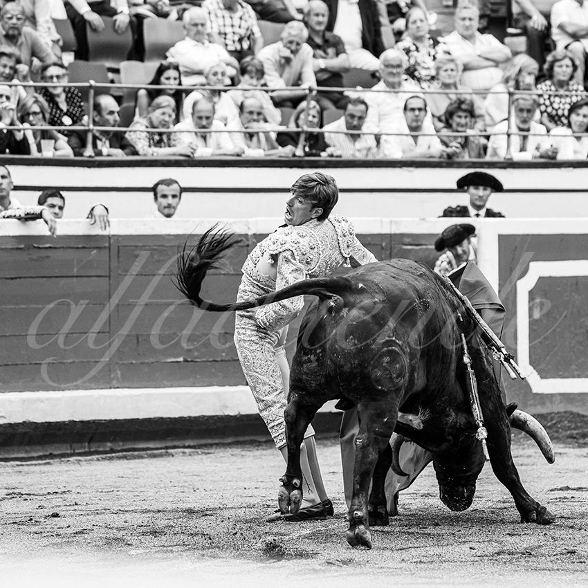 20250819 bilbao by alfaduende 024