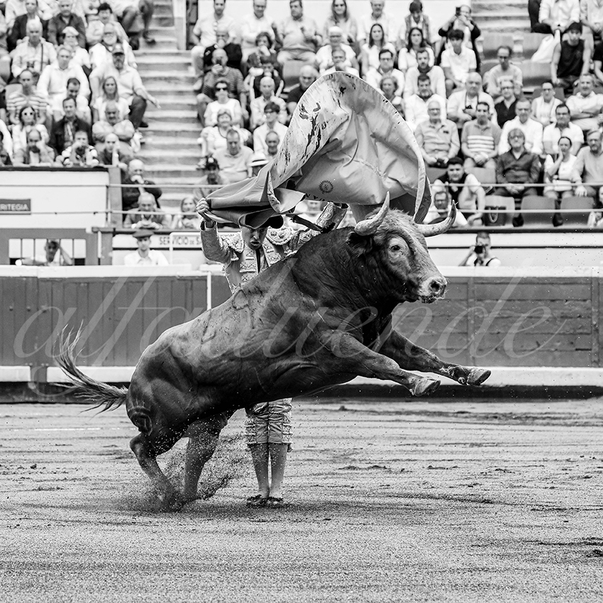 20250819 bilbao by alfaduende 023