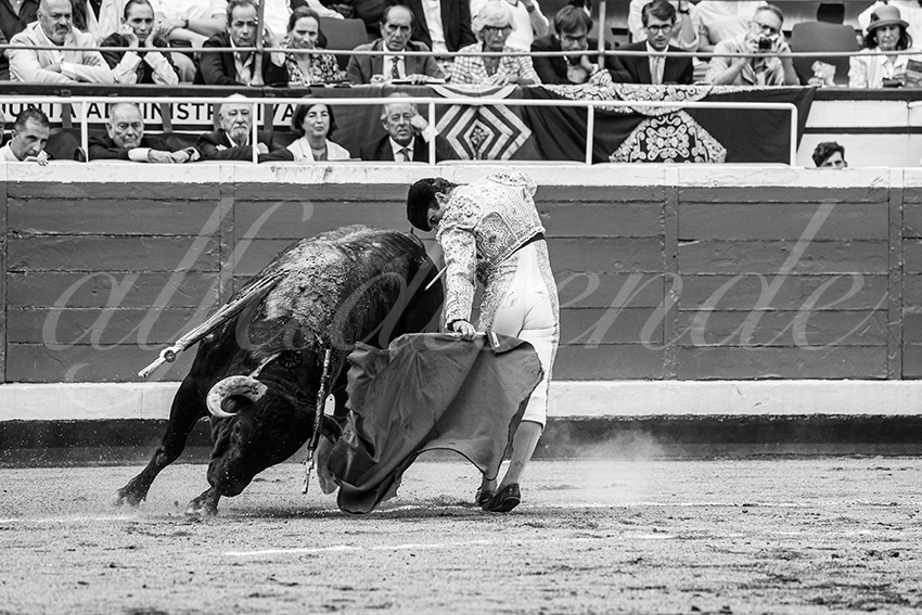 20250819 bilbao by alfaduende 021