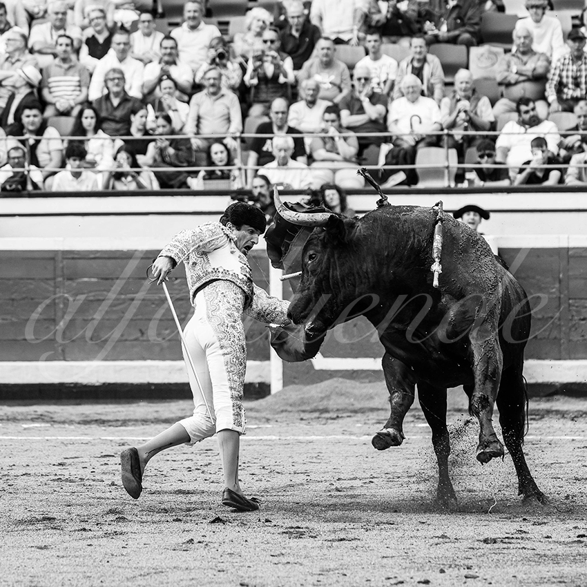 20250819 bilbao by alfaduende 017