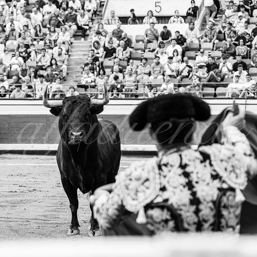 20250819 bilbao by alfaduende 013