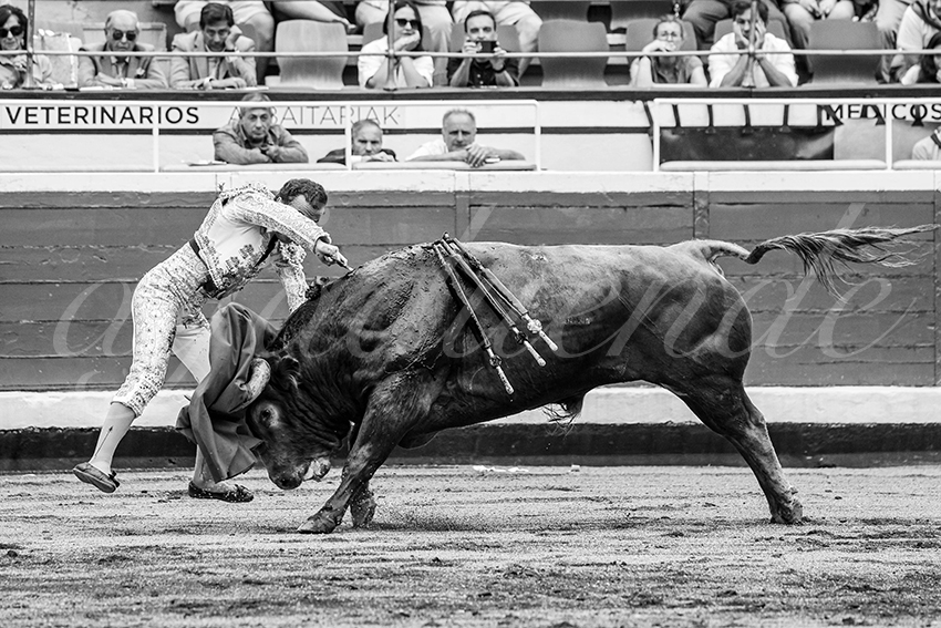 20250819 bilbao by alfaduende 009