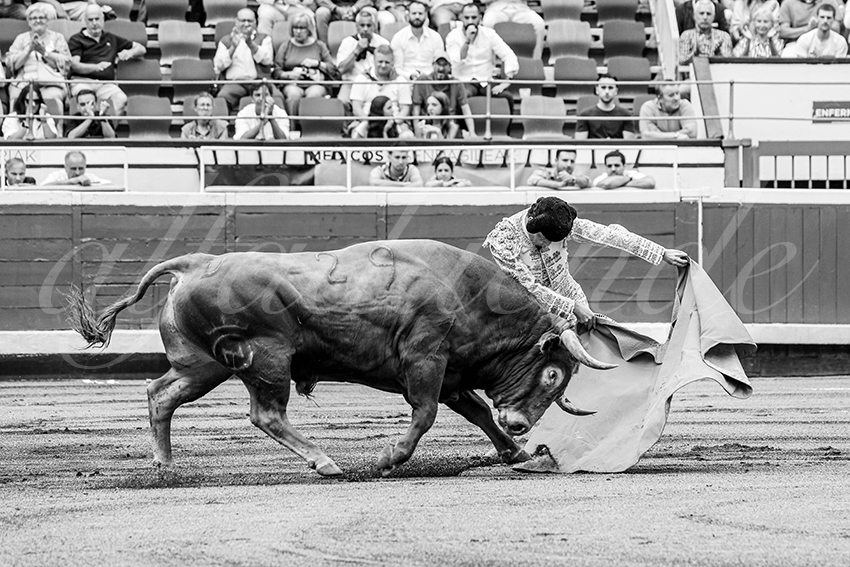 20250819 bilbao by alfaduende 005