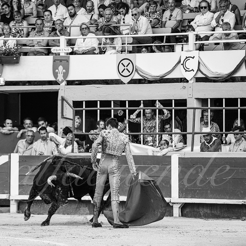 20250823 st gilles by alfaduende 030