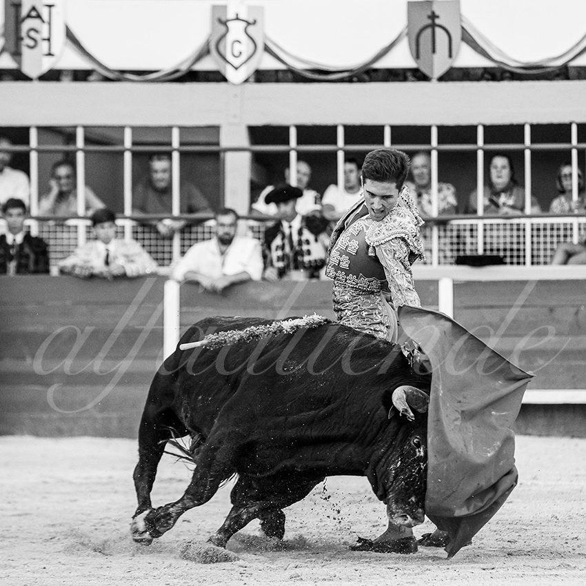 20250823 st gilles by alfaduende 029