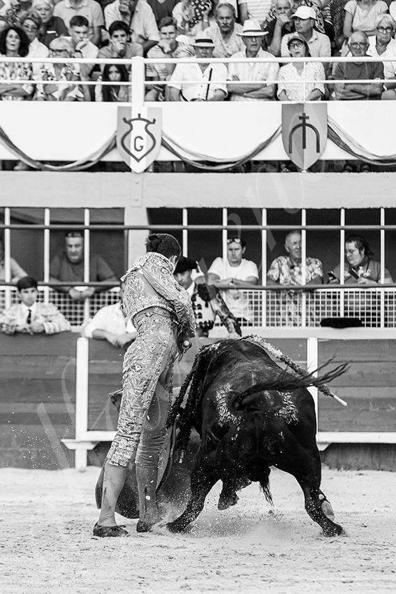 20250823 st gilles by alfaduende 028