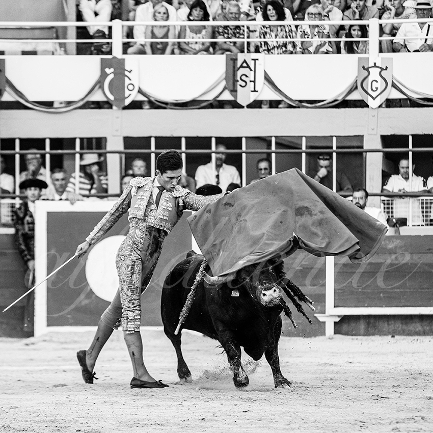 20250823 st gilles by alfaduende 027