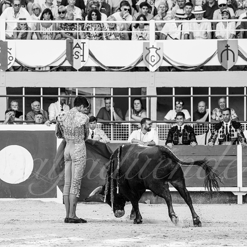 20250823 st gilles by alfaduende 026