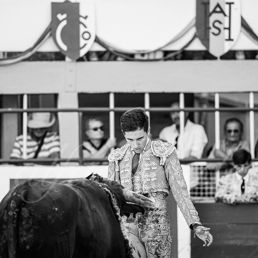 20250823 st gilles by alfaduende 025