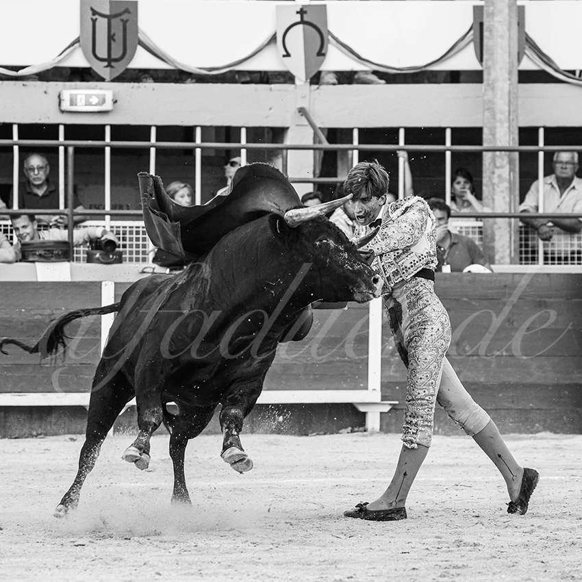 20250823 st gilles by alfaduende 022