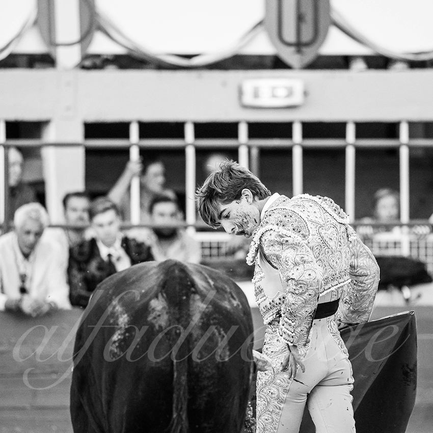 20250823 st gilles by alfaduende 021