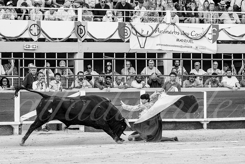 20250823 st gilles by alfaduende 020