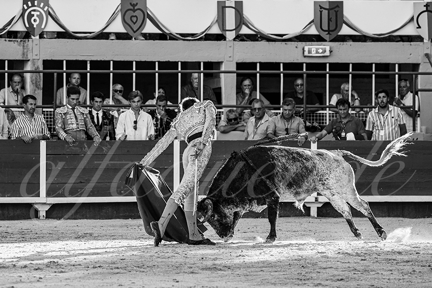 20250823 st gilles by alfaduende 019