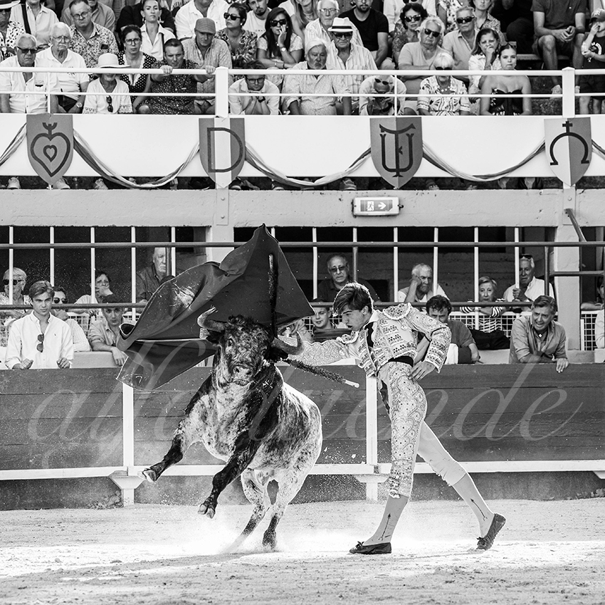 20250823 st gilles by alfaduende 018