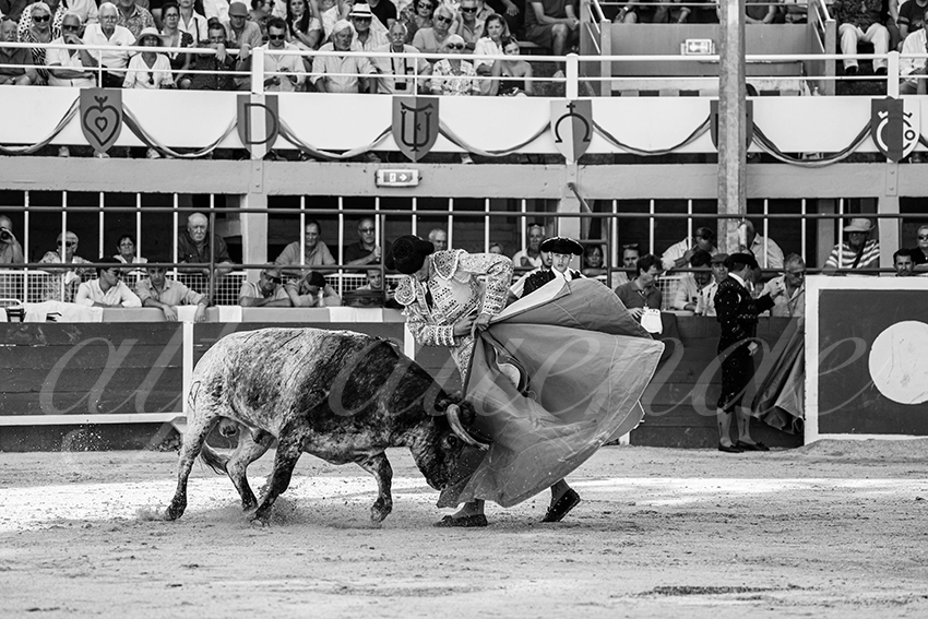 20250823 st gilles by alfaduende 017