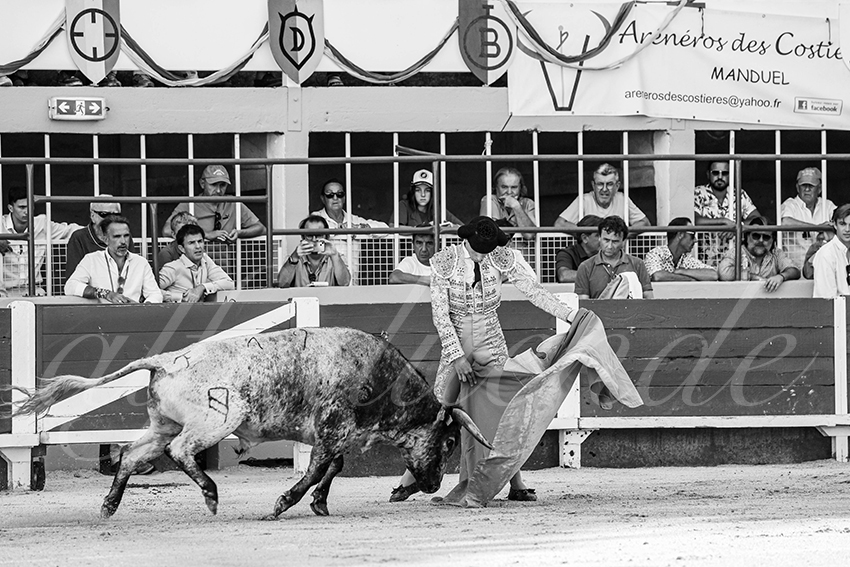 20250823 st gilles by alfaduende 016