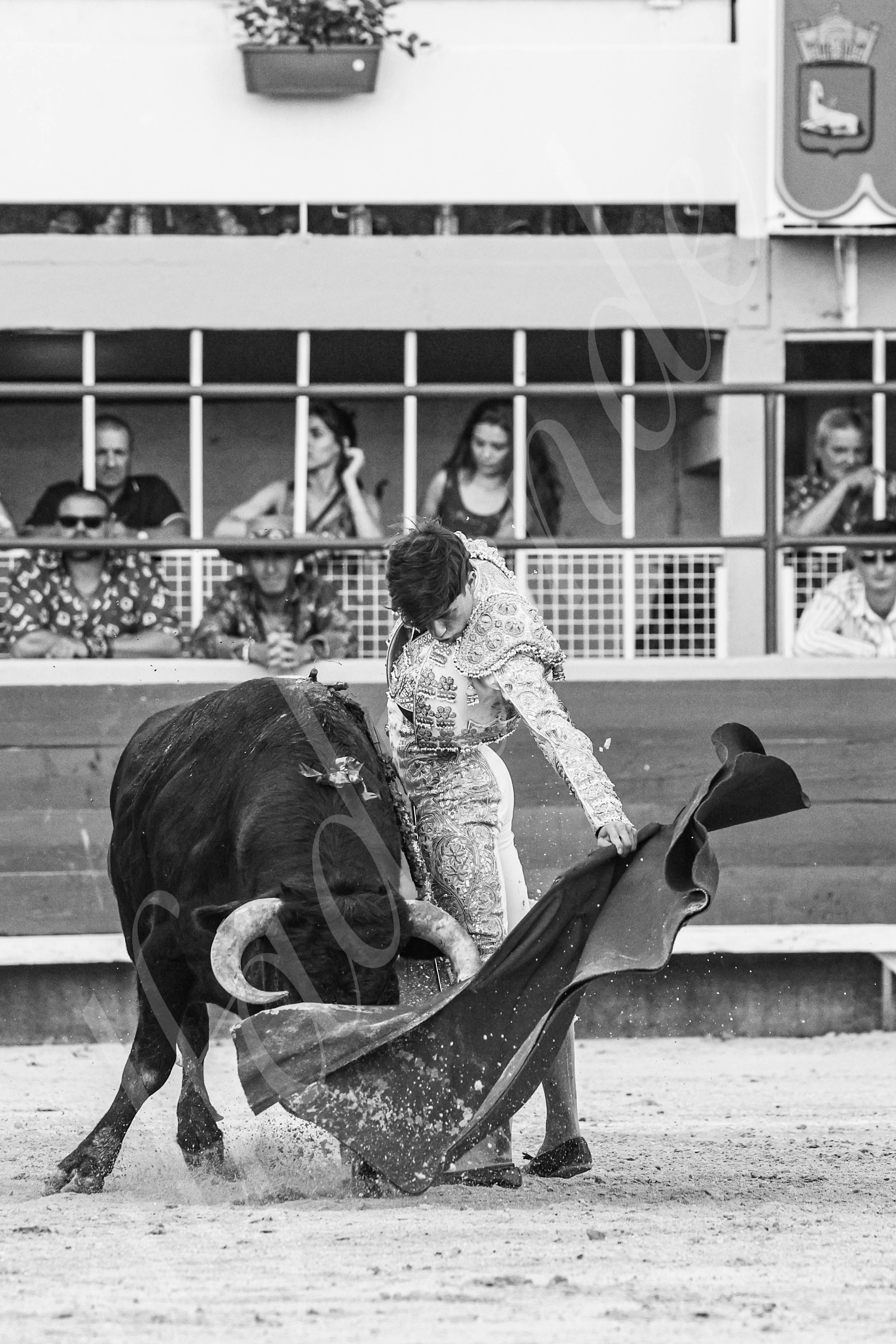 20250823 st gilles by alfaduende 014