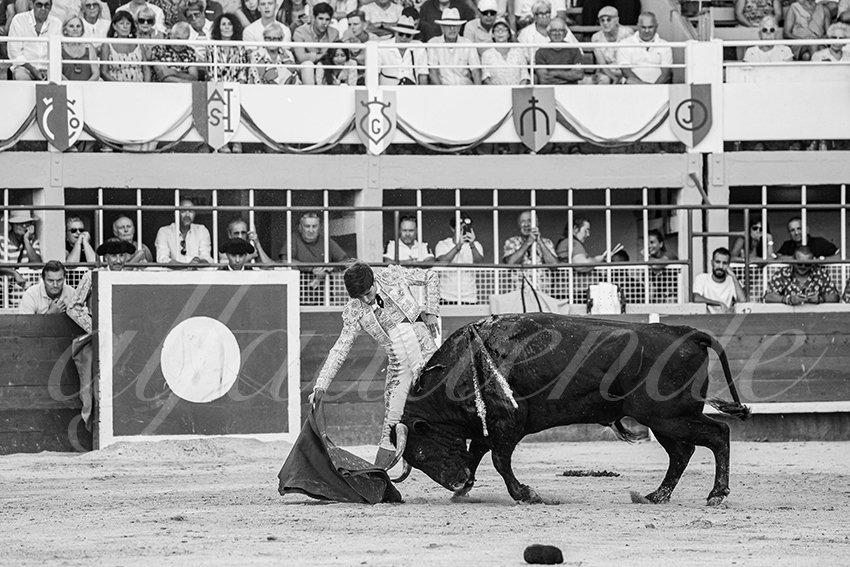 20250823 st gilles by alfaduende 013