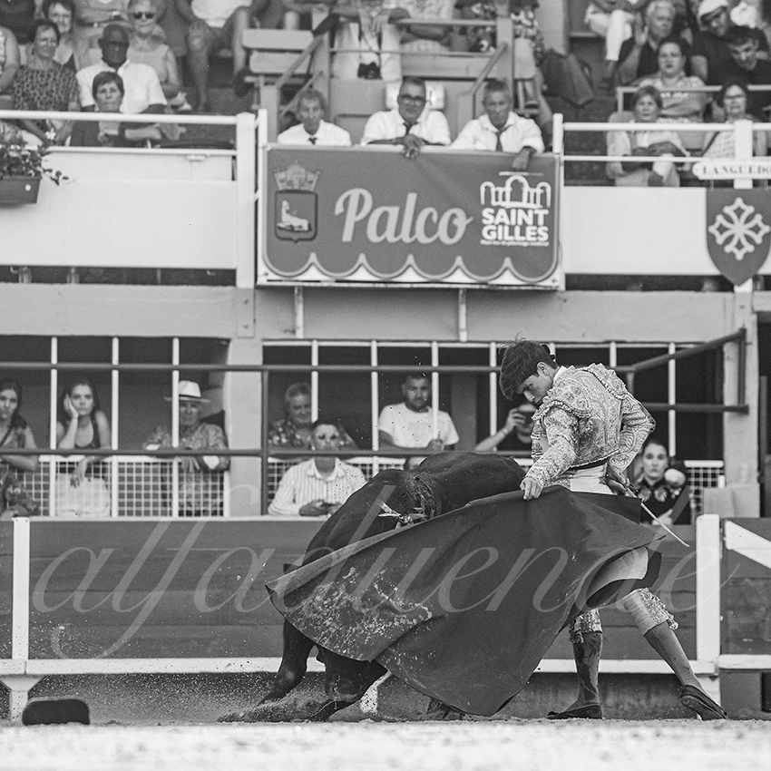 20250823 st gilles by alfaduende 012