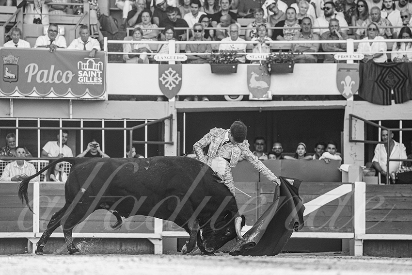 20250823 st gilles by alfaduende 011