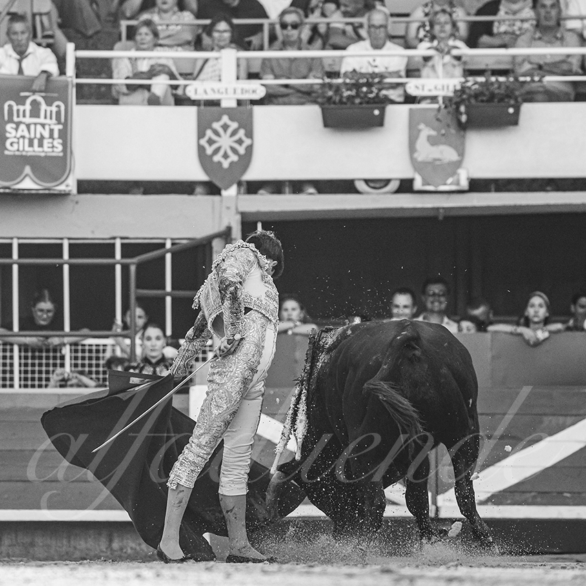 20250823 st gilles by alfaduende 010