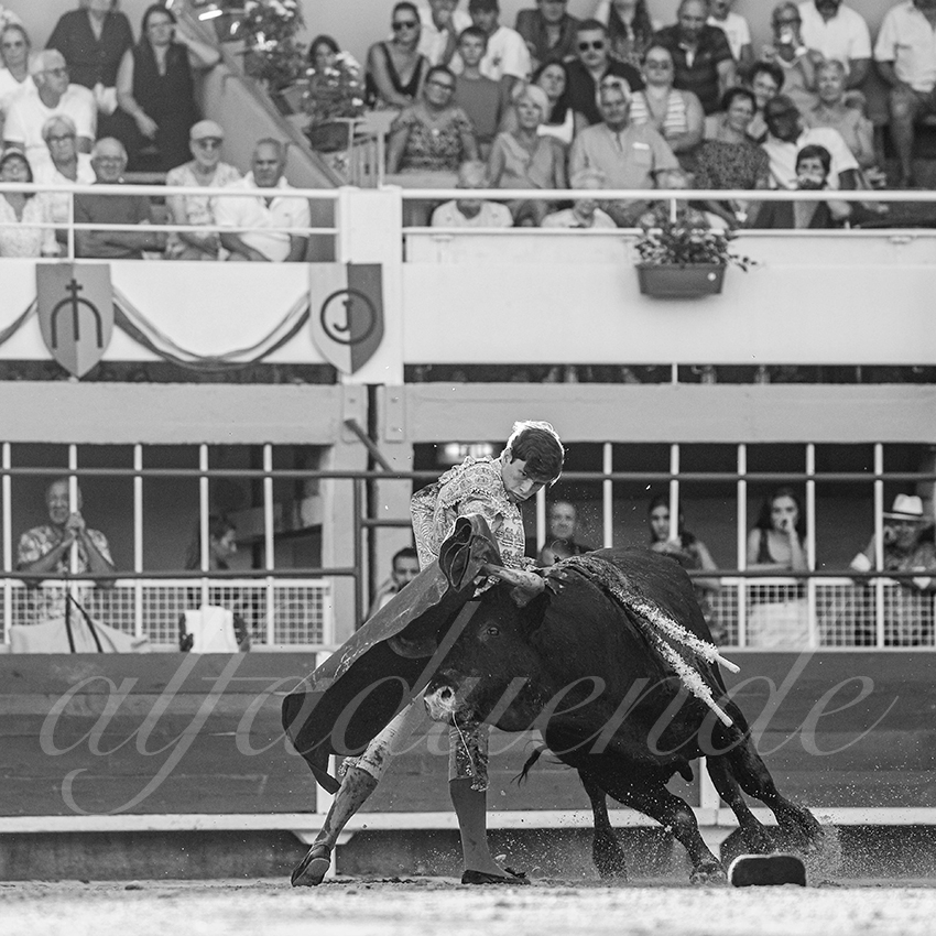 20250823 st gilles by alfaduende 009