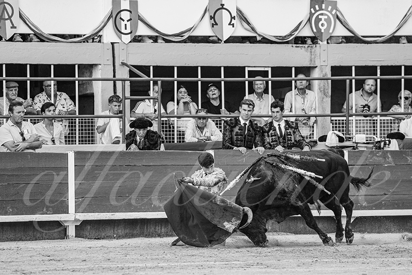 20250823 st gilles by alfaduende 008