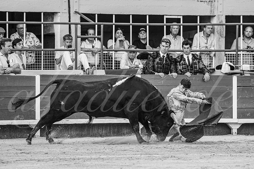 20250823 st gilles by alfaduende 007