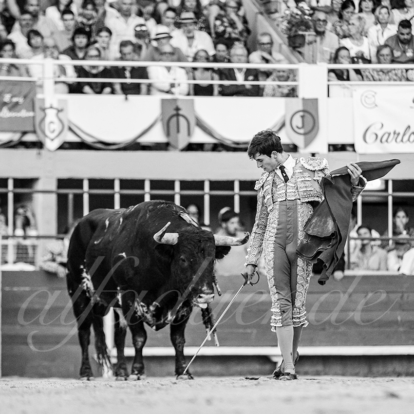 20250824 st gilles by alfaduende 035