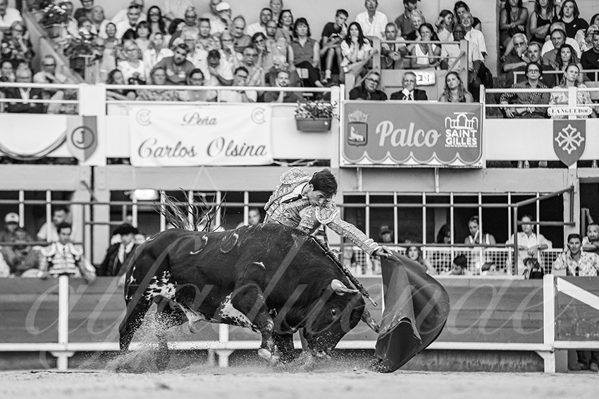 20250824 st gilles by alfaduende 034