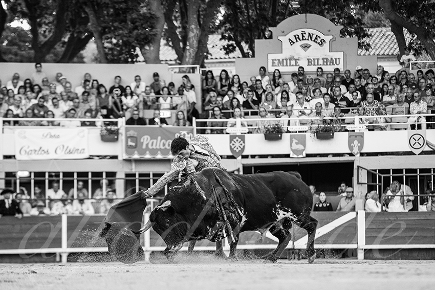 20250824 st gilles by alfaduende 032