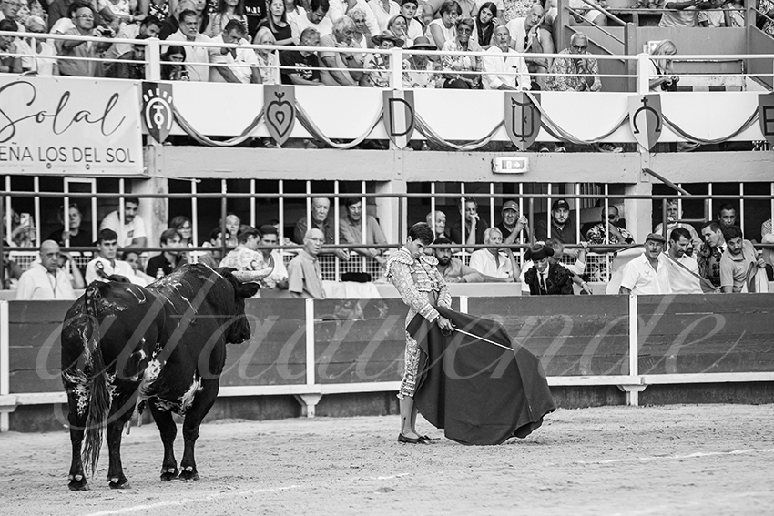 20250824 st gilles by alfaduende 031