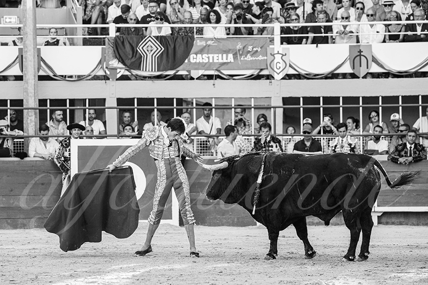 20250824 st gilles by alfaduende 028