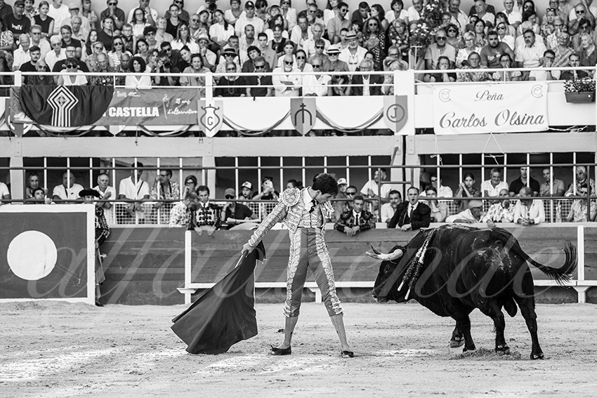 20250824 st gilles by alfaduende 027