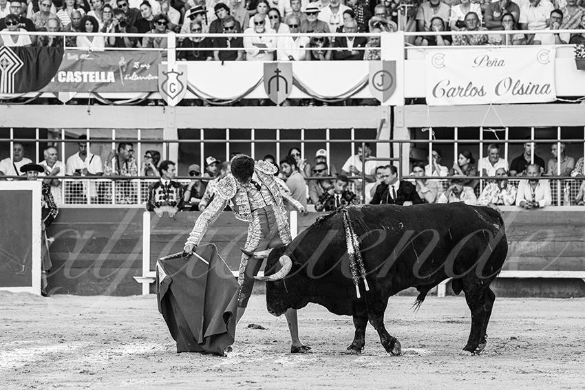 20250824 st gilles by alfaduende 026