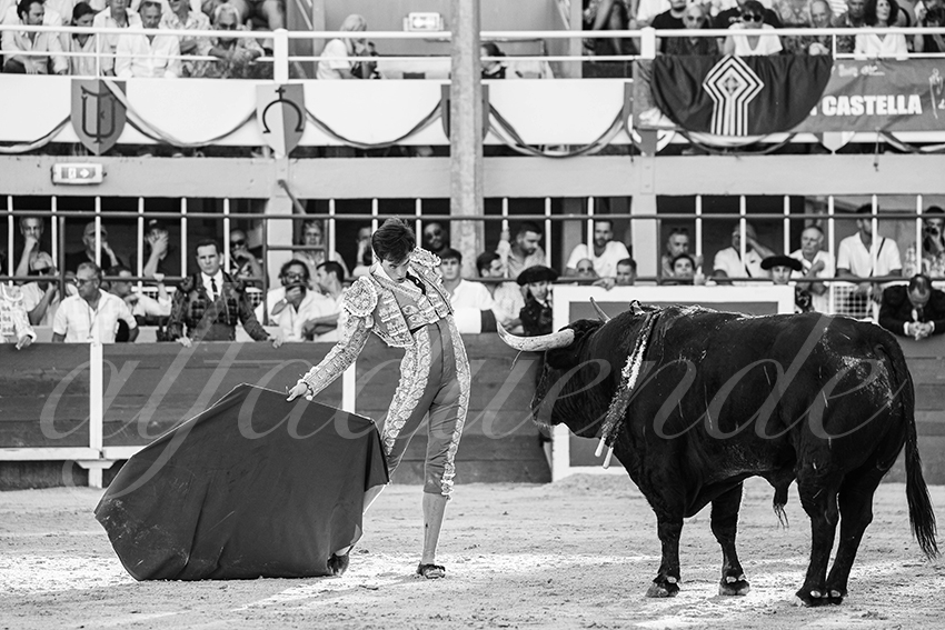 20250824 st gilles by alfaduende 025