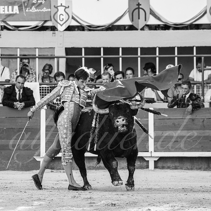 20250824 st gilles by alfaduende 024