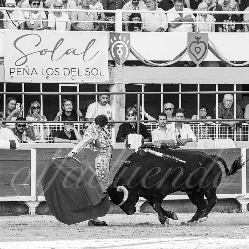 20250824 st gilles by alfaduende 023