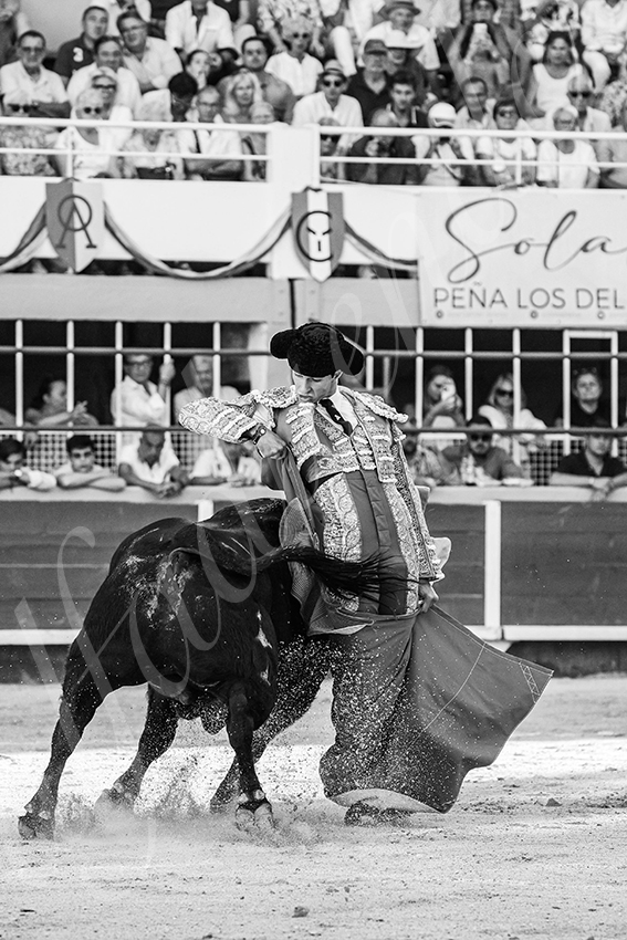 20250824 st gilles by alfaduende 022