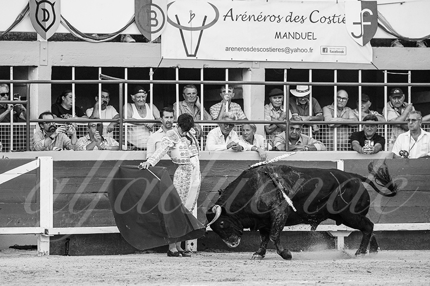 20250824 st gilles by alfaduende 020